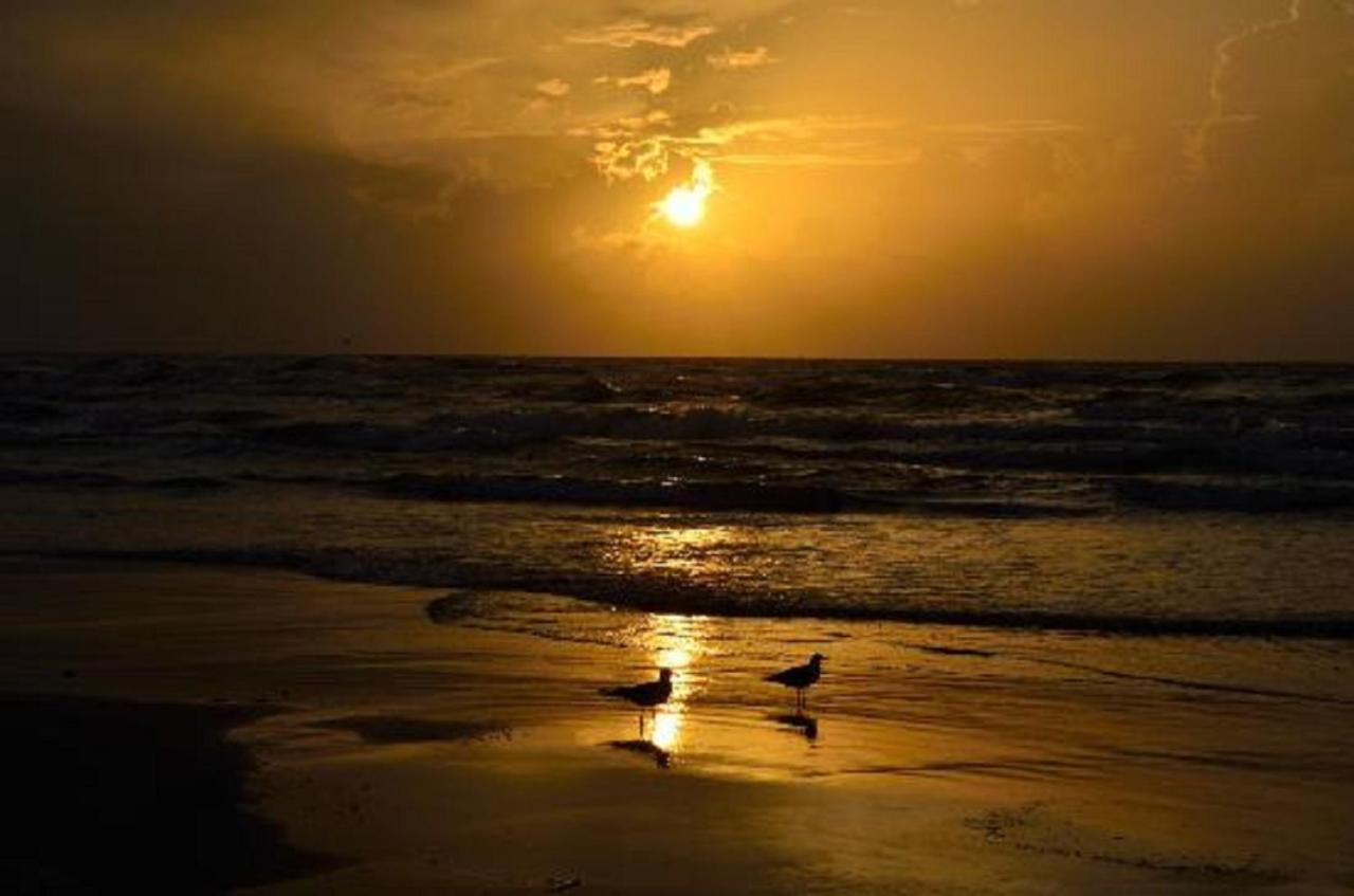 Corpus Christi Beachside Condo: Padre Island Retreat Exterior photo