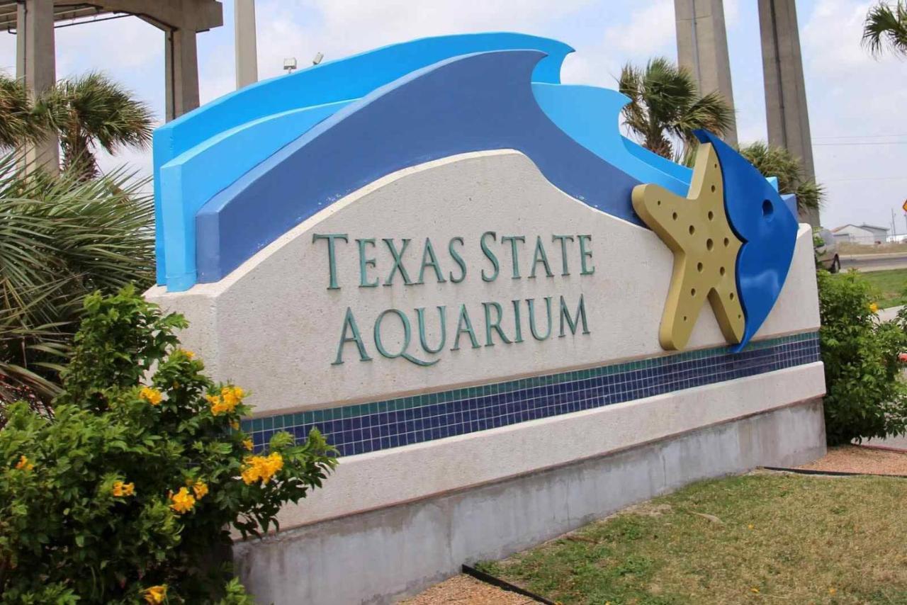 Corpus Christi Beachside Condo: Padre Island Retreat Exterior photo